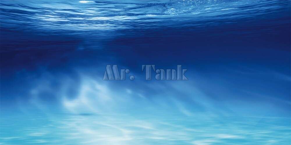 Mr.tank Aquarium Background