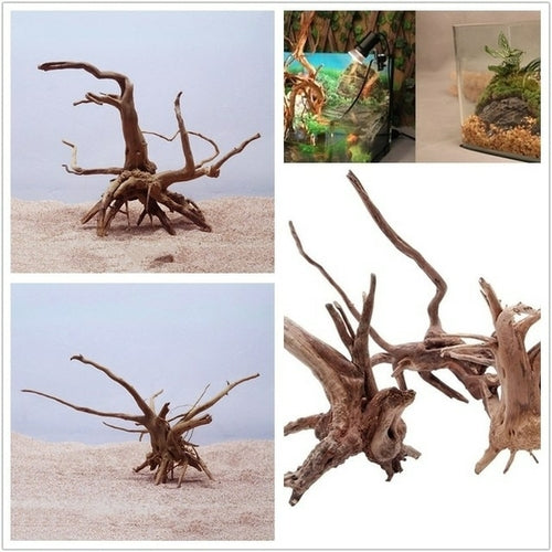 Natural Tree Trunk Driftwood Aquarium Fish Tank Reptile Cylinder