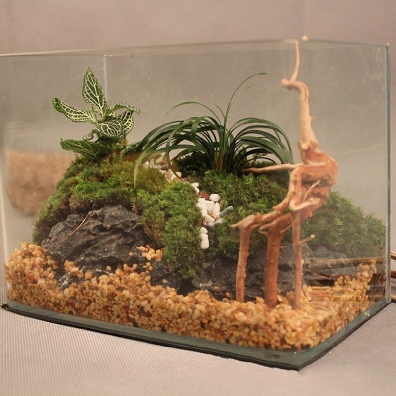 Natural Tree Trunk Driftwood Aquarium Fish Tank Reptile Cylinder