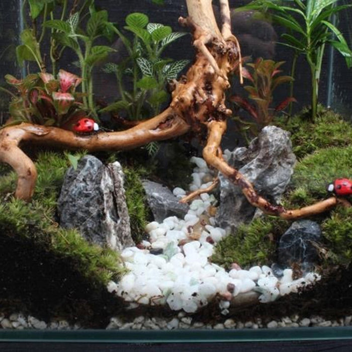 Natural Tree Trunk Driftwood Aquarium Fish Tank Reptile Cylinder