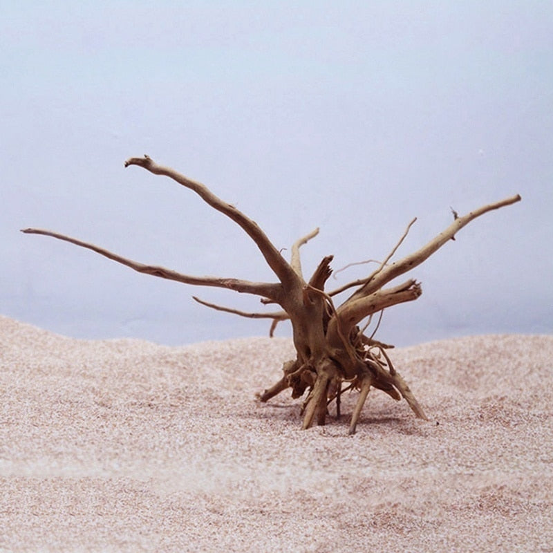 Natural Tree Trunk Driftwood Aquarium Fish Tank Reptile Cylinder