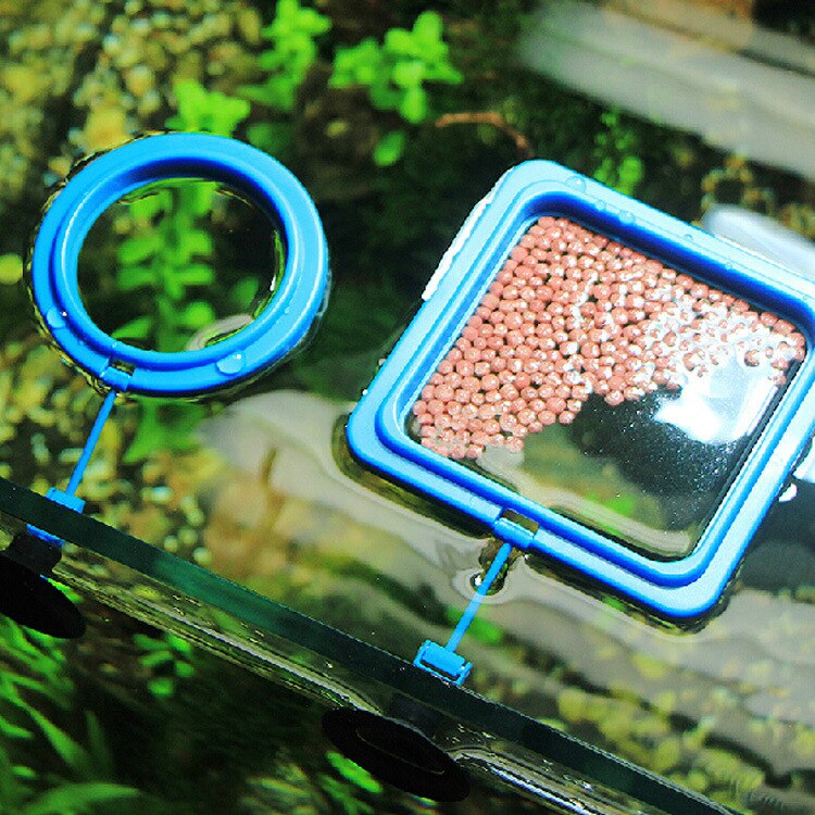 New Aquarium Floating  Feeding Tray