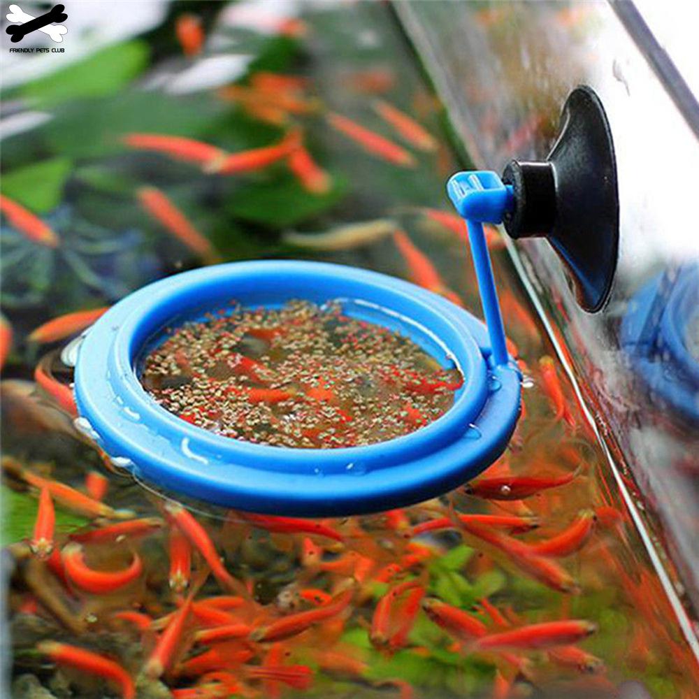 New Aquarium Floating  Feeding Tray