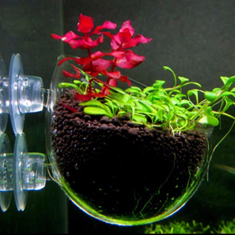 Nicrew Glass Aquarium