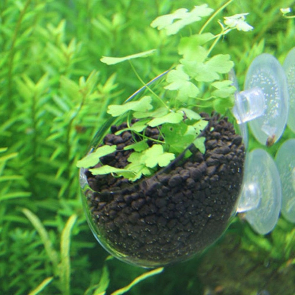 Nicrew Glass Aquarium
