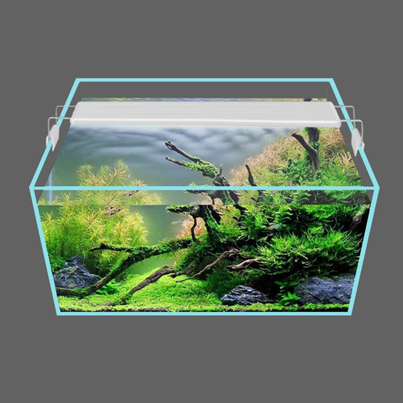 Plants Growing Lights Fish Tank Lights Small Clip Lights Aquarium