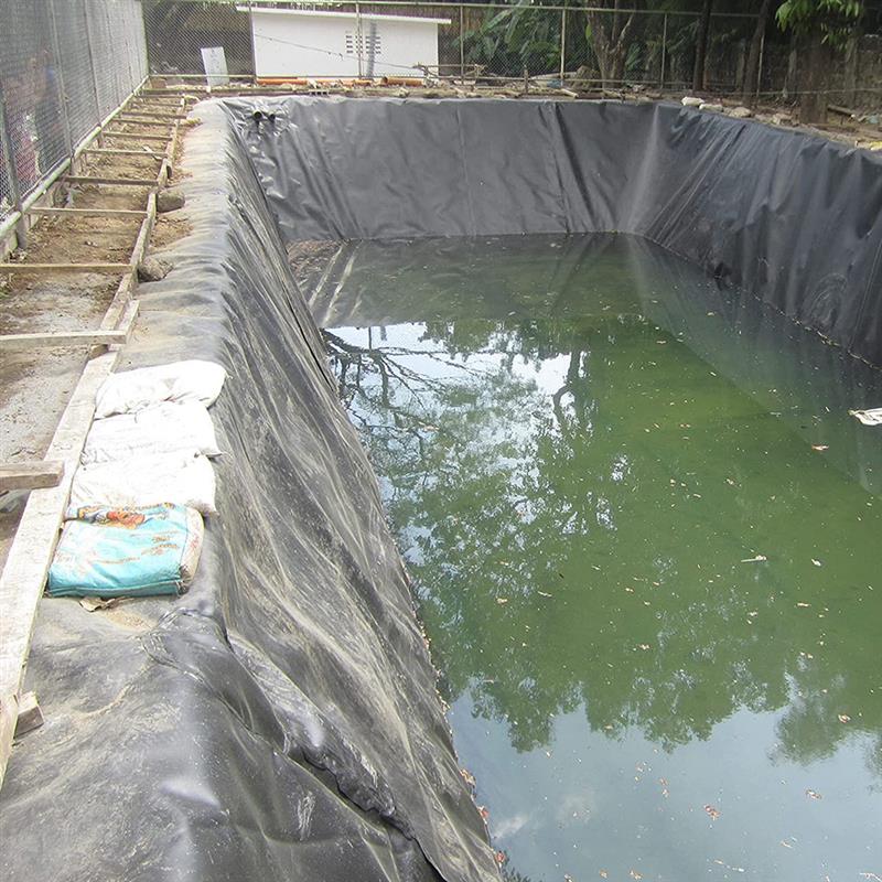 Pond Liner Fish Skins Pool Garden Ponds