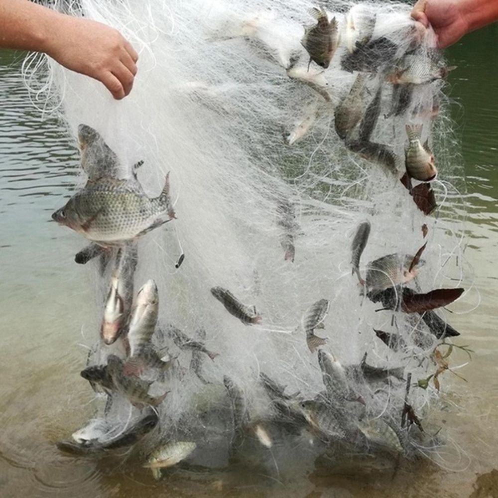 Quality Single Layer Fishing Net