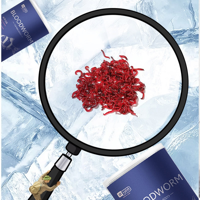 Red Blood Worm Freeze Dried