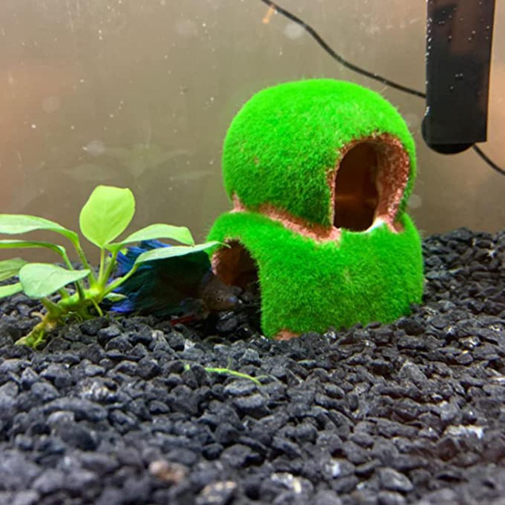 Moss House Hideout Fish Tank Aquarium