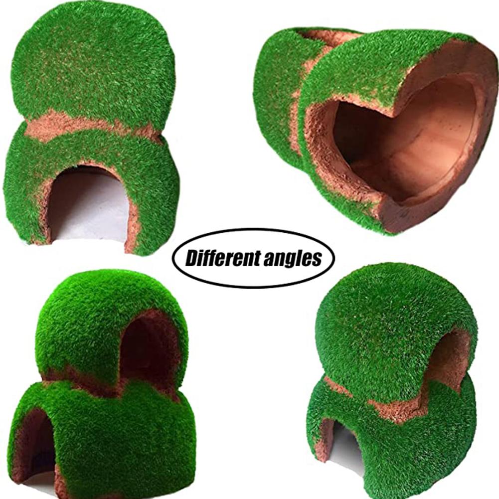 Moss House Hideout Fish Tank Aquarium