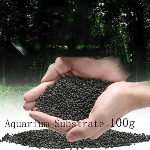 Aquarium Glass Vase Fish Tank