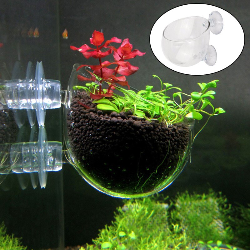 Aquarium Glass Vase Fish Tank