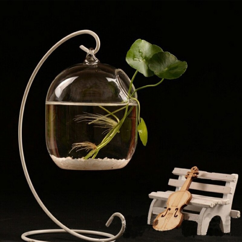 Suspended Transparent Fish Tank