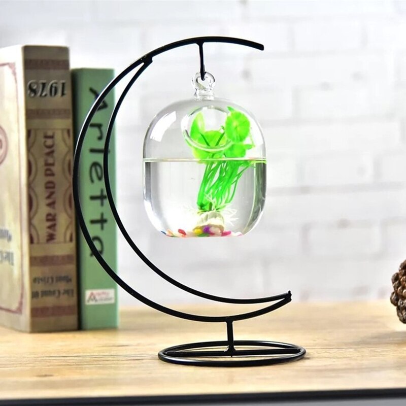 Suspended Transparent Fish Tank