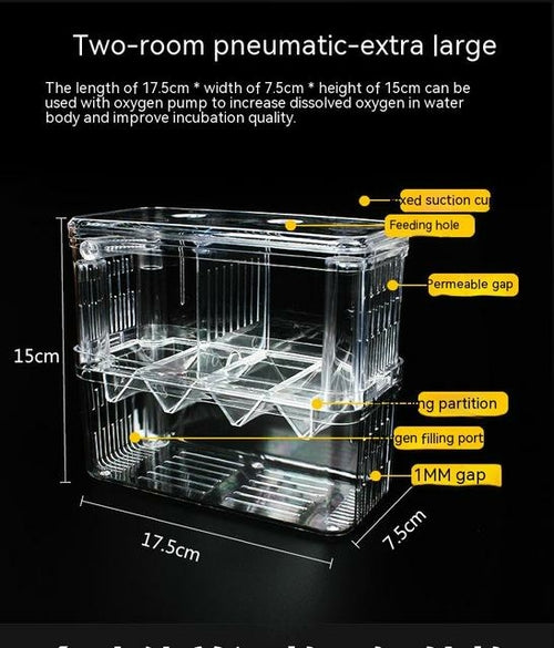 Transparent Fish Isolation Tank