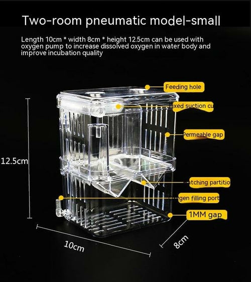 Transparent Fish Isolation Tank