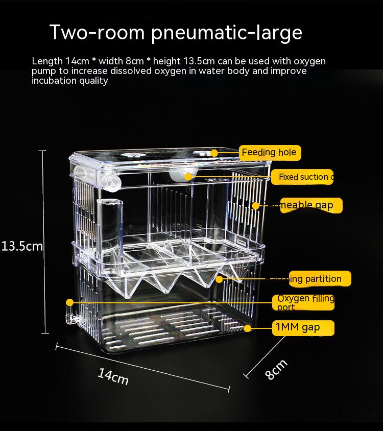 Transparent Fish Isolation Tank