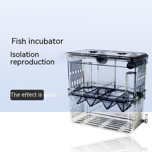 Transparent Fish Isolation Tank