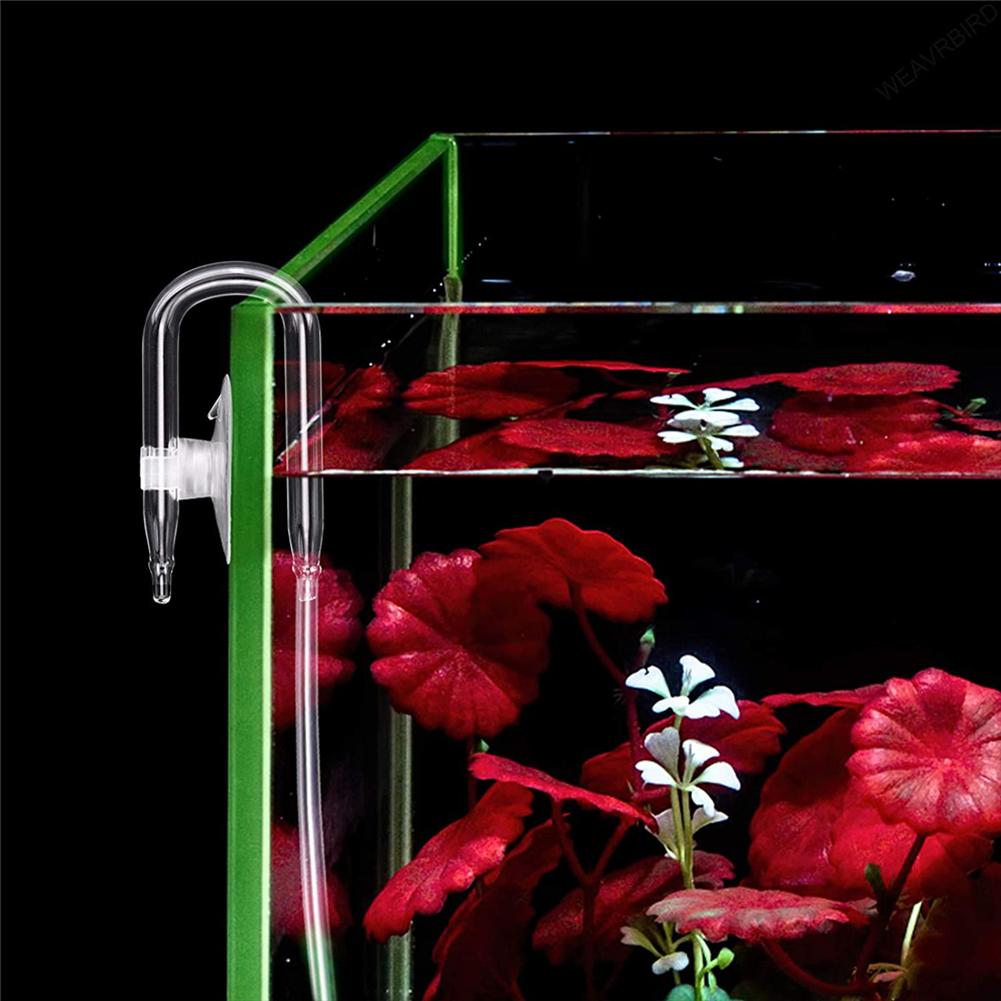 Transparent Glass CO2 Refiner