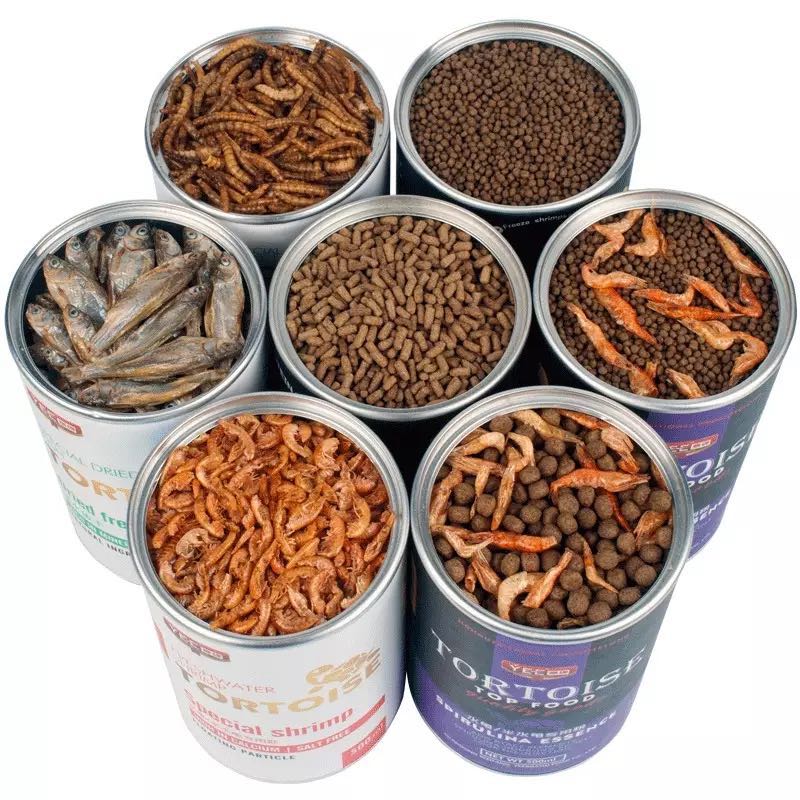 Turtle Tortoise Reptile Hamster Feed