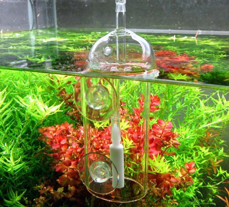 Aquarium  Glass Dissolved Oxygen Water