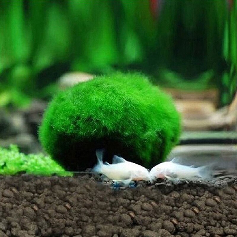 Vivid 2 3cm Simulated Seaweed Ball Live Aquarium Aquatic Plants Algae