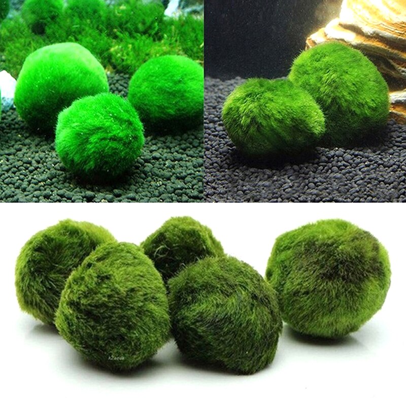 Vivid 2 3cm Simulated Seaweed Ball Live Aquarium Aquatic Plants Algae