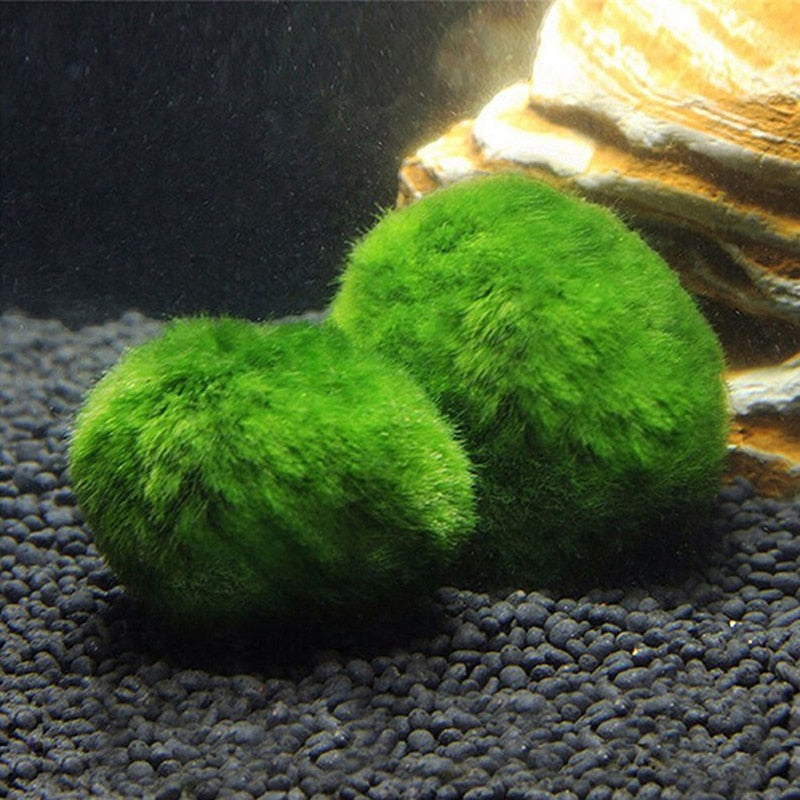Vivid 2 3cm Simulated Seaweed Ball Live Aquarium Aquatic Plants Algae