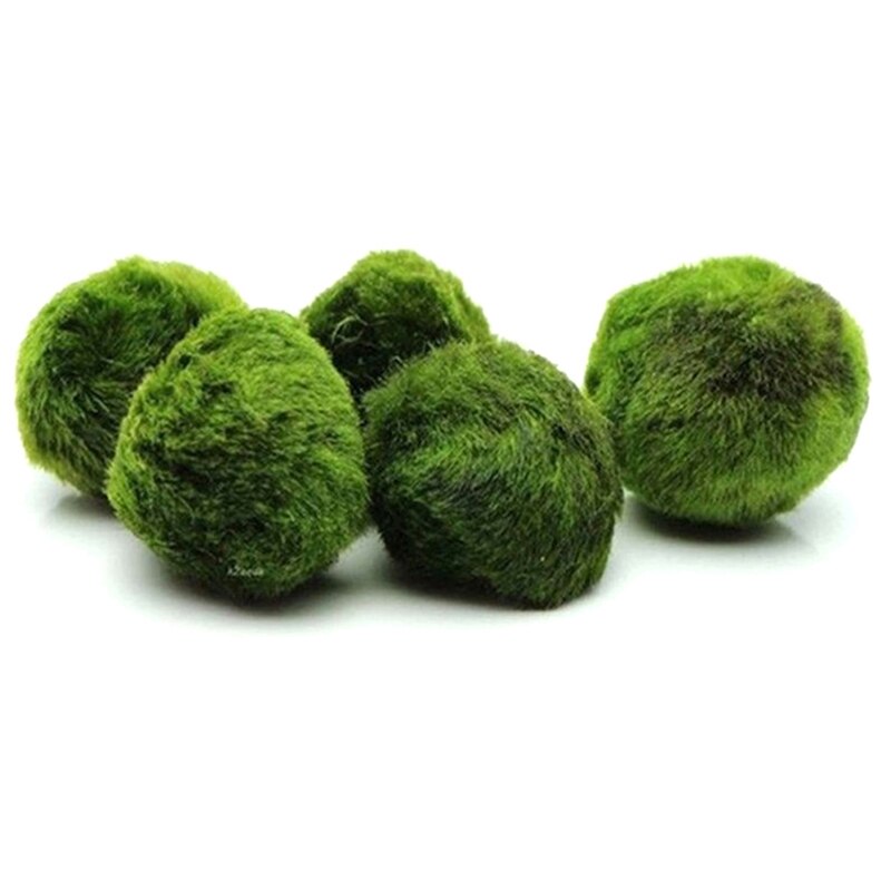 Vivid 2 3cm Simulated Seaweed Ball Live Aquarium Aquatic Plants Algae