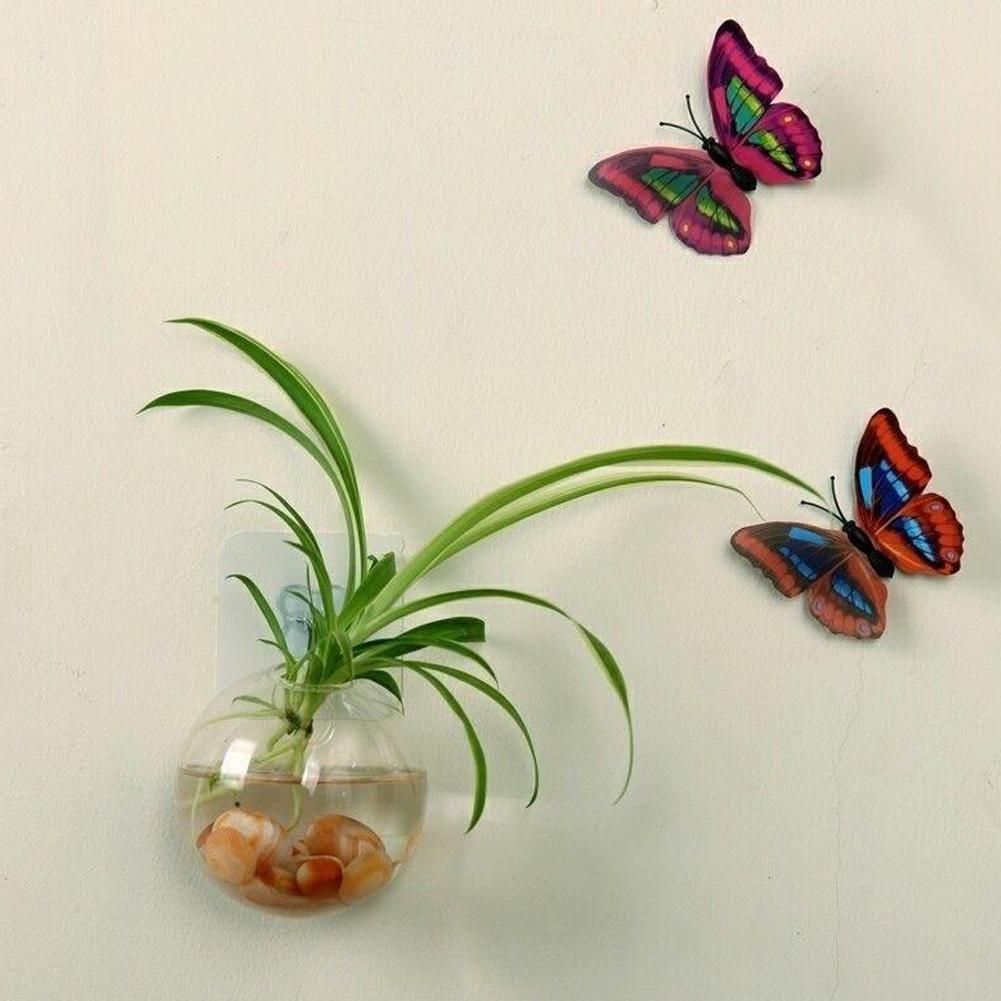 Wall Hanging Aquarium Fish Bowl