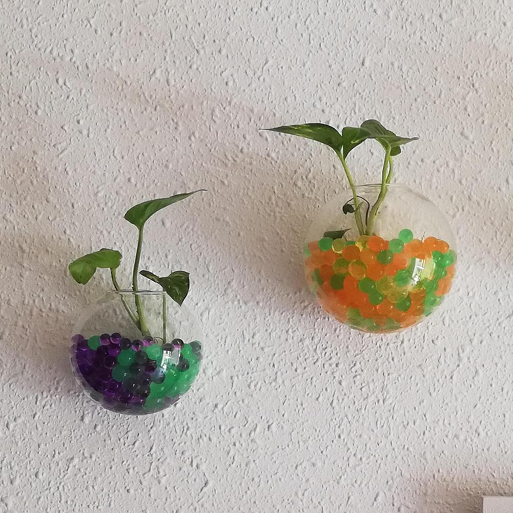 Wall Hanging Aquarium Fish Bowl