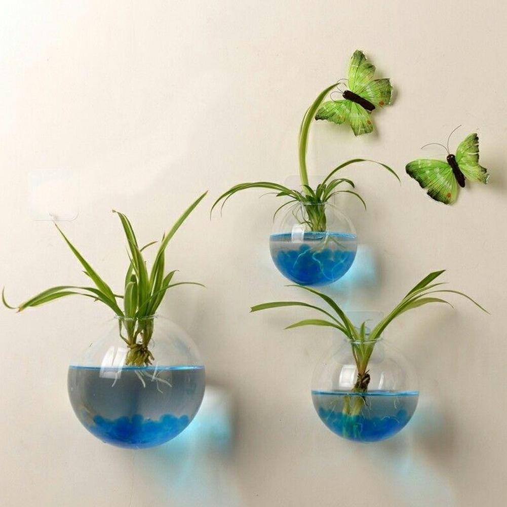 Wall Hanging Aquarium Fish Bowl